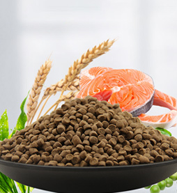 飼料檢測(cè)